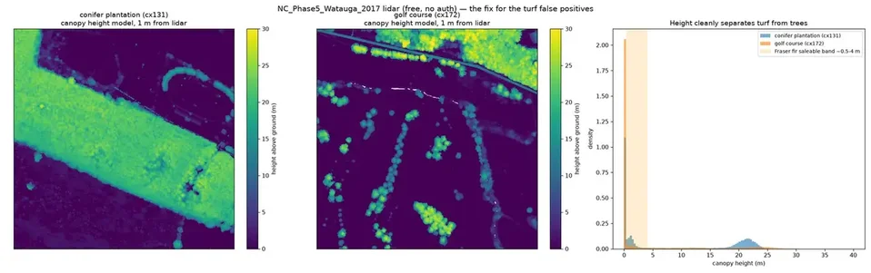 Two canopy height maps and a histogram showing the golf course concentrated at zero metres and the conifer block at twenty to twenty five metres