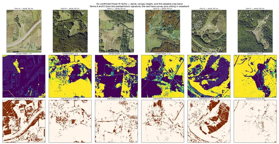 Grid of six farms showing aerial imagery, canopy height, and the half to four metre crop band, with two farms showing sharp rectangular planted blocks