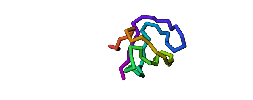 Ribbon rendering of the folded SH3 domain