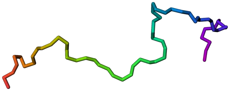 After 60 nanoseconds at 1000 kelvin: an extended chain sprawling right
              across the frame, far larger than the folded state.